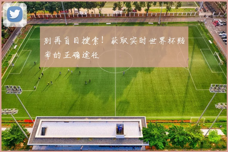 别再盲目搜索！获取实时世界杯赔率的正确途径