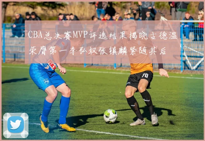 CBA总决赛MVP评选结果揭晓古德温荣膺第一李弘权张镇麟紧随其后